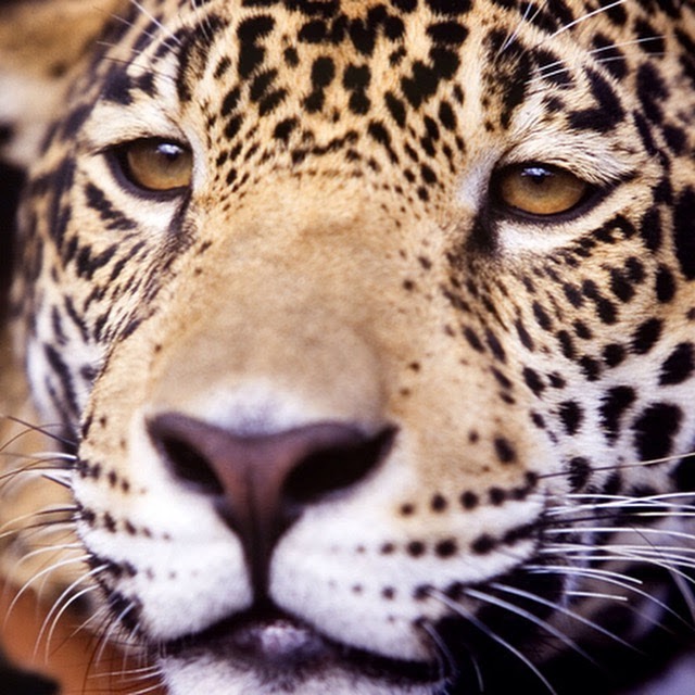 14 ANOS – SERRA DA CANTAREIRA HOJE E COTIDIANO DO BRASIL E DO MUNDO